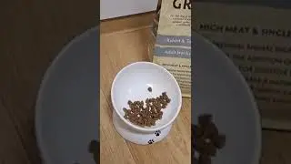 Очень удобная миска для кошек😀