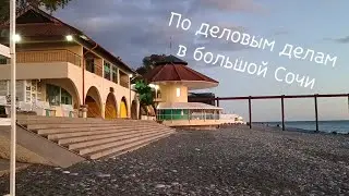 По деловым делам в Большой Сочи.