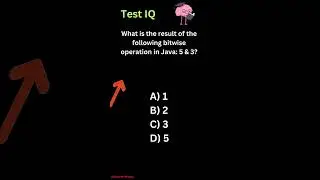 What is the result of the following bitwise operation in Java 5 & 3