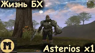 Жизнь БХ | Lineage 2 (Линейдж 2) | Asterios x1