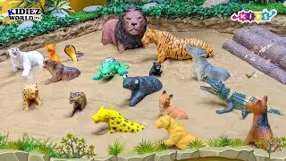 Carnivore Wild Jungle Animals for Kids | Muddy Animals Toys Fun | Kidiez World TV