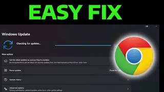 How To Fix Screen Flickering on Chrome | Screen Flickering while Using Chrome | Windows 11/10/8/7