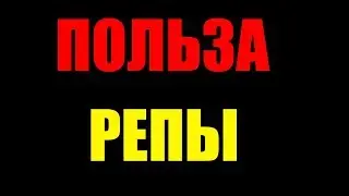 Польза и вред репы