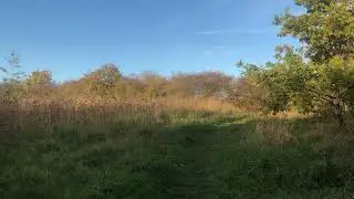 Walking through a nature reserve I never realised existed