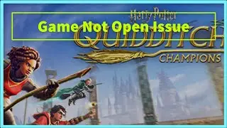 Harry Potter: Quidditch Champions Game  Not Open problem