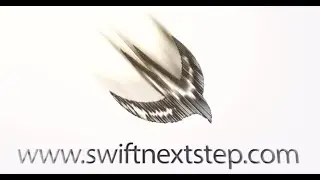 Swift - Goodby