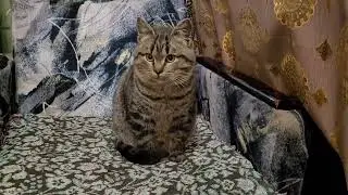 Старая забытая Песня 🔥 Не торопи любовь, а то ещё наплачешься!!