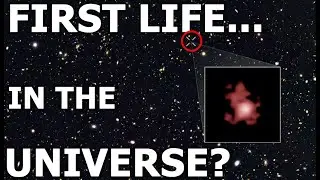 The FIRST Life in the UNIVERSE?