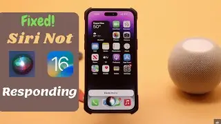 SIRI Stopped Responding with Voice After iOS Update? (Quick and Easy Fix)