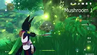 Genshin Impact | Sumeru: Apam Woods mushroom puzzle