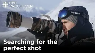 A week in the life of a professional wildlife photographer | CBC Creator Network