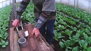 приспособление ножницы для высадки рассады
