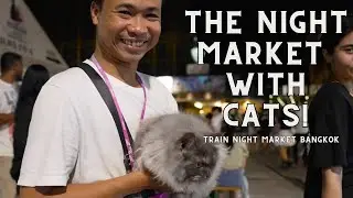 Quite possibly the BEST night market on Earth. The Train Night Market Bangkok!