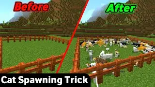 HOW TO FIND A CAT IN MINECRAFT | HOW TO SPAWN A CAT IN MINECRAFT | MINECRAFT CAT