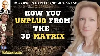 HOW YOU UNPLUG FROM THE 3D MATRIX | Mel Rentmeister