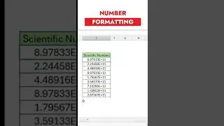 Number Formatting in Excel 