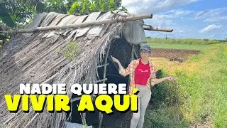 La realidad del campo en Cuba :( Por esta razón tengo COMIDA en CUBA 🇨🇺