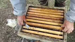 Работы на пасеке Рут . Карпатка Кисловодск.16 апреля