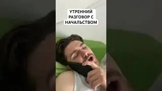 ТИПИЧНЫЙ ДИАЛОГ С НАЧАЛЬСТВОМ