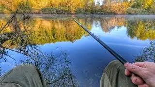 Рыбалка у дома на поплавок!Плотва,Густера.Май 2023.