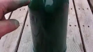 The Incredible Self Watering Pop Bottle Garden Grow System! You Got To See This!