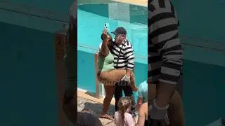 Made his day | Tom the mime