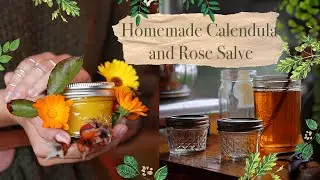 Crafting A Calendula and Rose Salve From Scratch