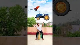 Catching big hen, cycle, girl, horse vs giant frog & tractor - Funny vfx magic 😄