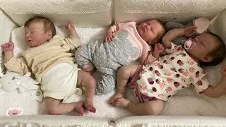 ВЛОГ С ЧЕТЫРЬМЯ РЕБОРНАМИ. ЖДЕМ ПОПОЛНЕНИЕ. 