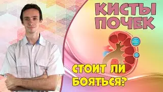 Кисты почек. Что это, какие бывают, что делать?