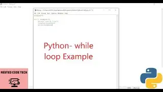 Python- while loop Example