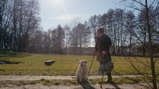 Normalizing Disabilities