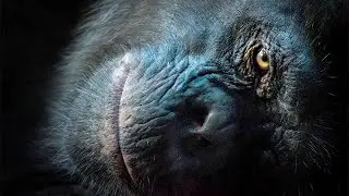 Shine light on a dark photo to reveal its details in Photoshop