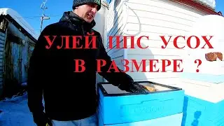 улей ППС Лысонь, корпуса дают усадку?