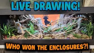 Snake Discovery Enclosure Live Drawing!