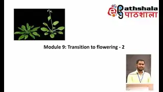 Module 9: Transition to Flowering - 2 #EPGPathshala