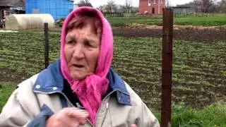 Как люди укрывали от фашистов раненых бойцов КА