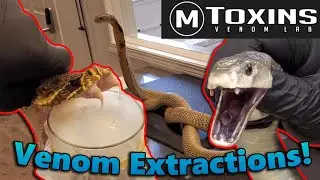 Touring MToxins- Wisconsin's Venom Lab!