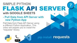Simple Python Flask API with Google Sheets - 07 - Pull Data from API Server with new Python App