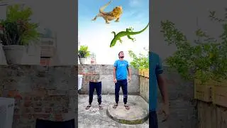 Making duplicate cute brother & eating maggi, fruits vs lizard & insects #shorts #trending