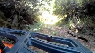 Yalova Orman Yolları #1: Kurtköy #1