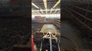 Tractor and shovel that perfectly cleans cow manure 