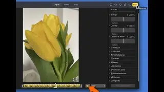3 ways to mute live photos on your iPhone iPad and Mac