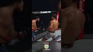 Undefeated Paulo Costa Was A DIFFERENT BREED