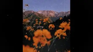 [FREE] Iann Dior Type Beat *GUITAR* 
