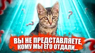 Вы не представляете, кому мы отдали этого котенка / SANI vlog