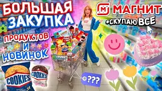 Большая Закупка ПРОДУКТОВ и Новинок Еды👉 Шоппинг в МАГНИТ💫 Скупили ВСЕ и ПОТРАТИЛИ ВСЕ ДЕНЬГИ 🤑