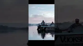 #Особенности