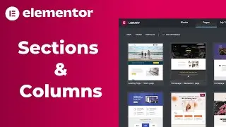 Elementor Sections & Columns Tutorial | How to Create, Edit & Delete | WordPress Elementor (2022)