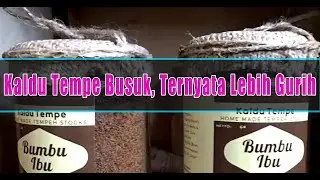 Cara Membuat Kaldu Dari Tempe Busuk, Ternyata Lebih Gurih